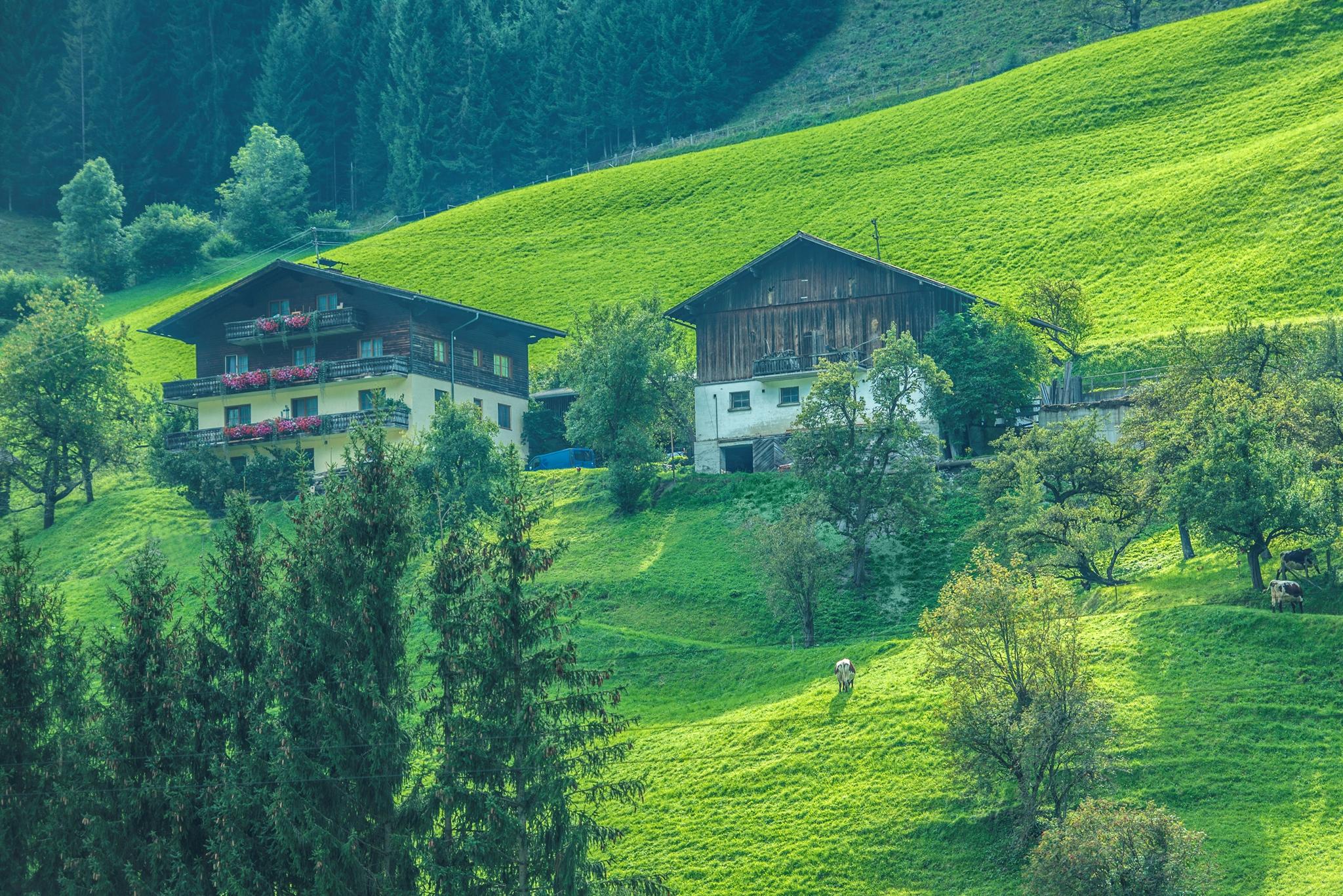 Haus-App.-Sieglreit-Dorfgastein-Sommer