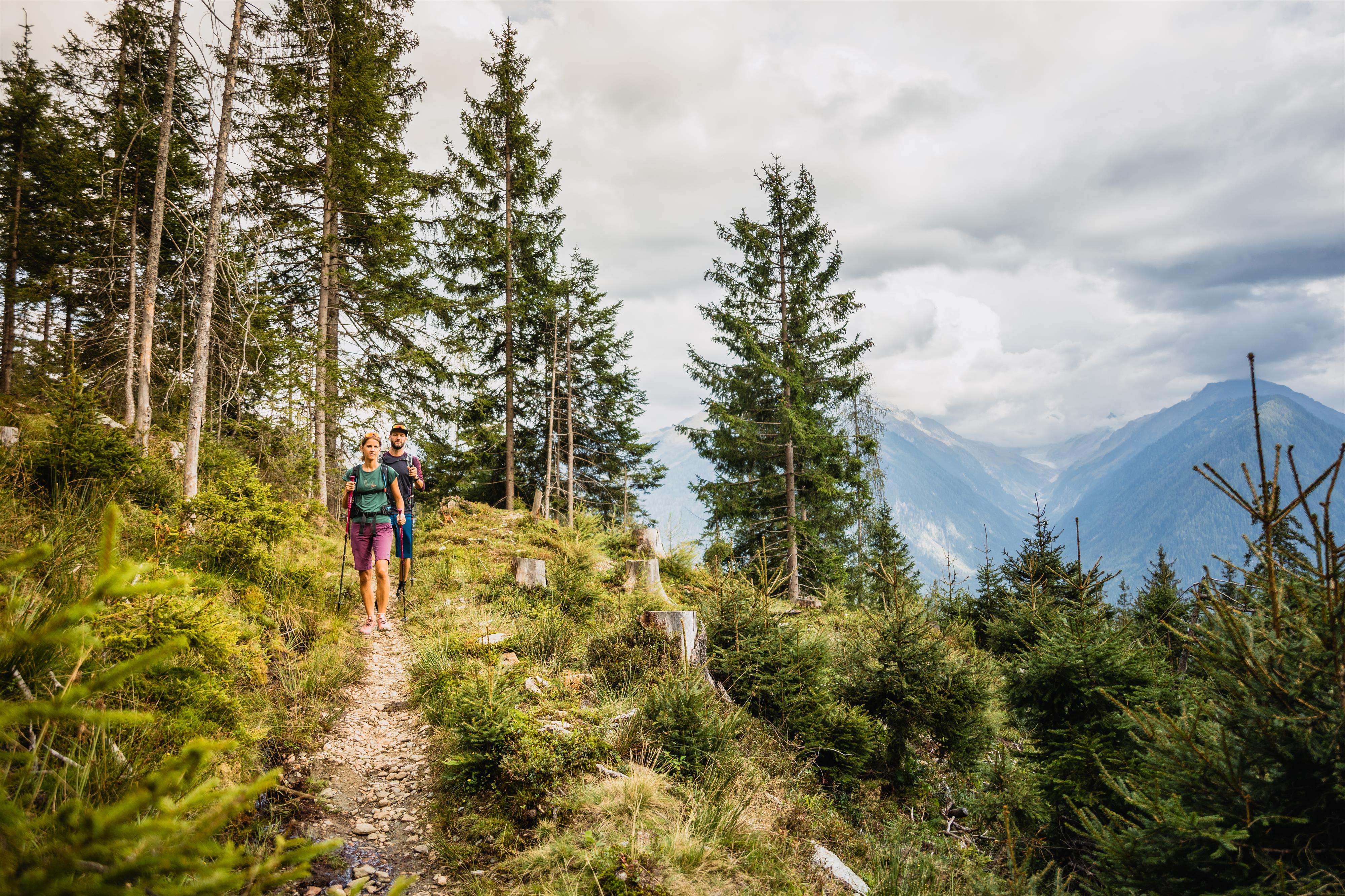 Lieblingstour zur Montlangeralm mit Alexandra