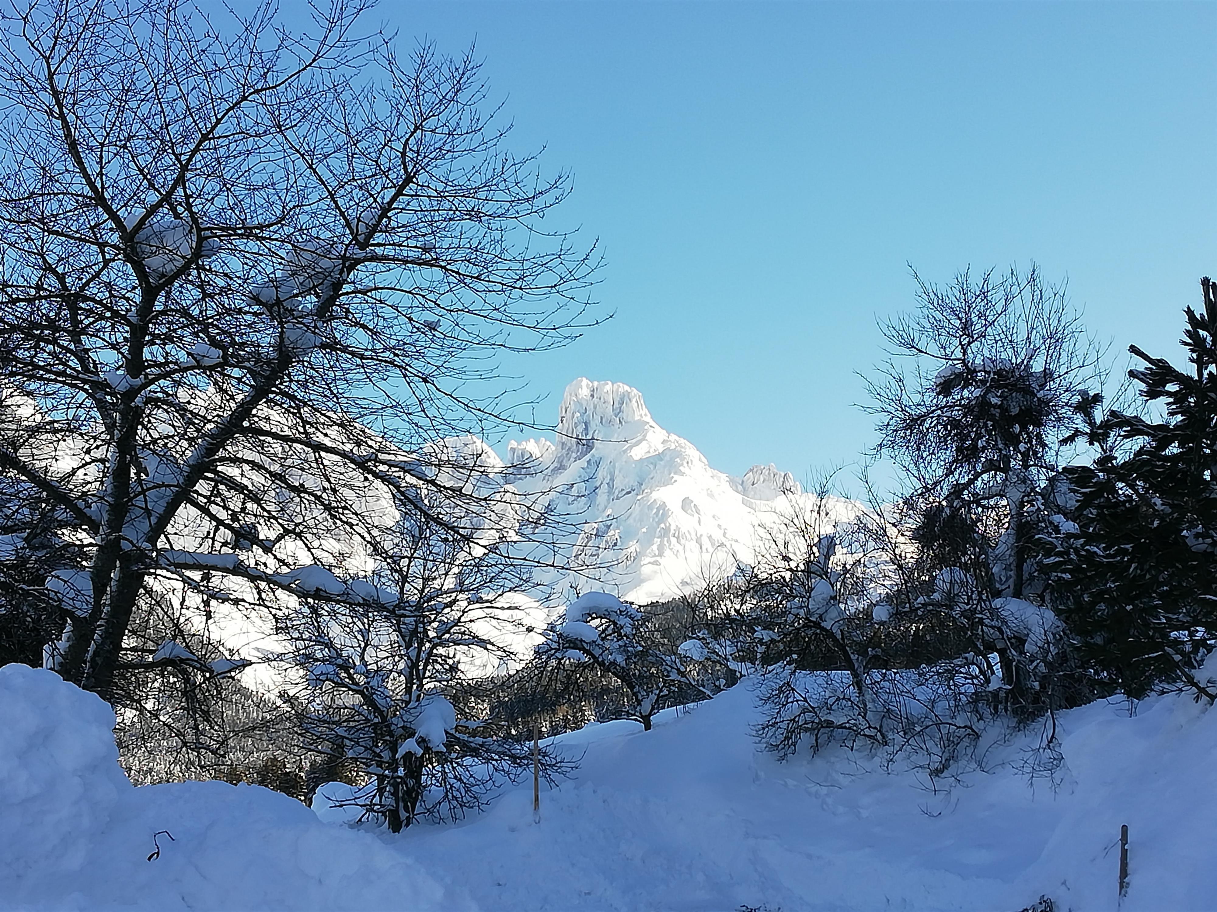A snow-covered mountain under a clear blue sky. In the foreground, bare trees and a snowy landscape can be seen.