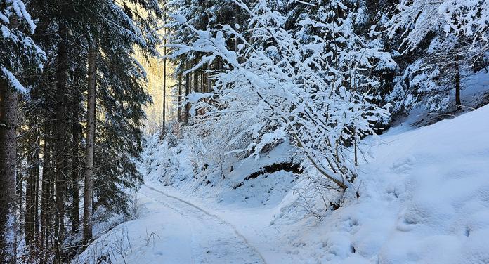 Winterwanderwege Viehhofen