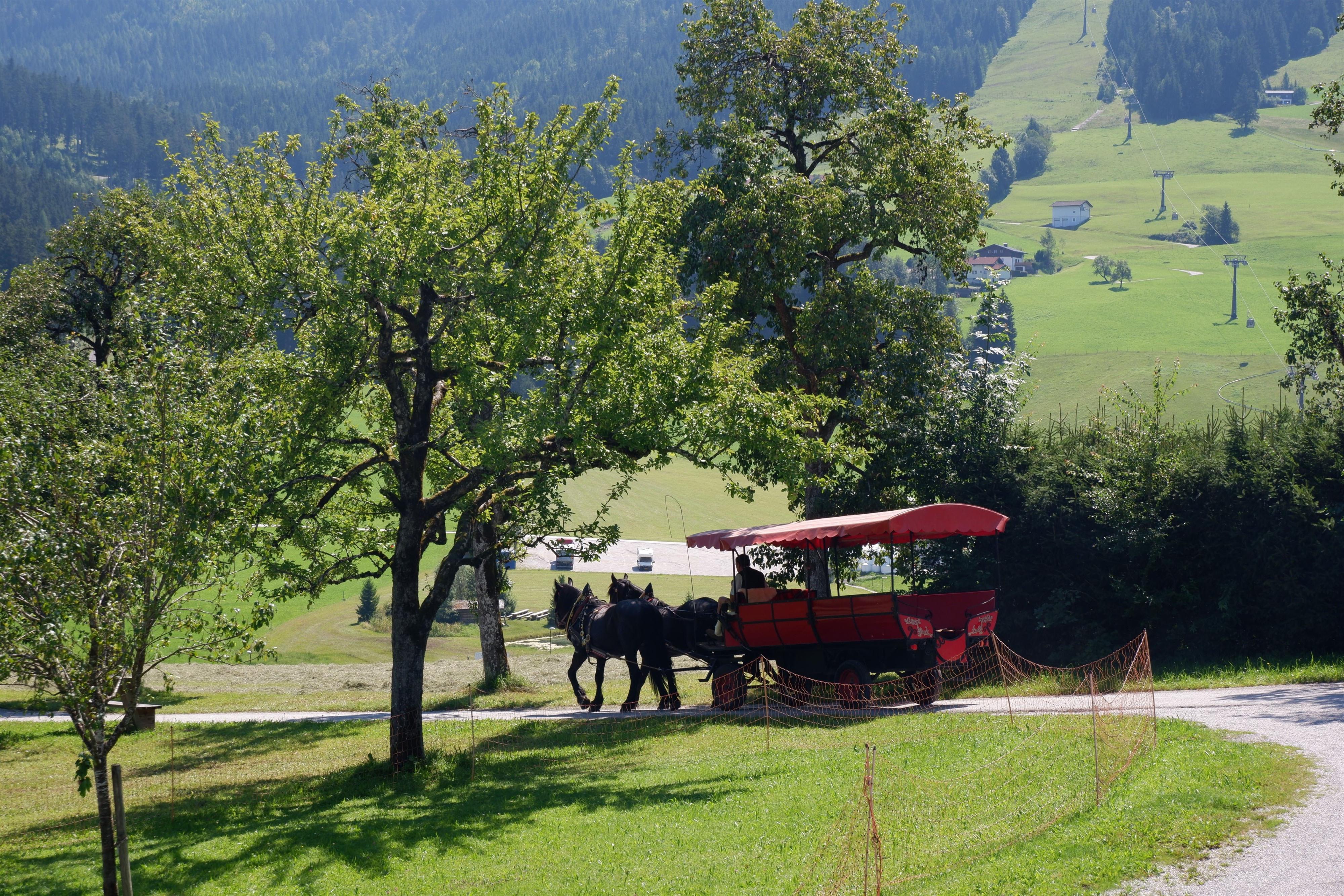 Pferdekutschenfahrt