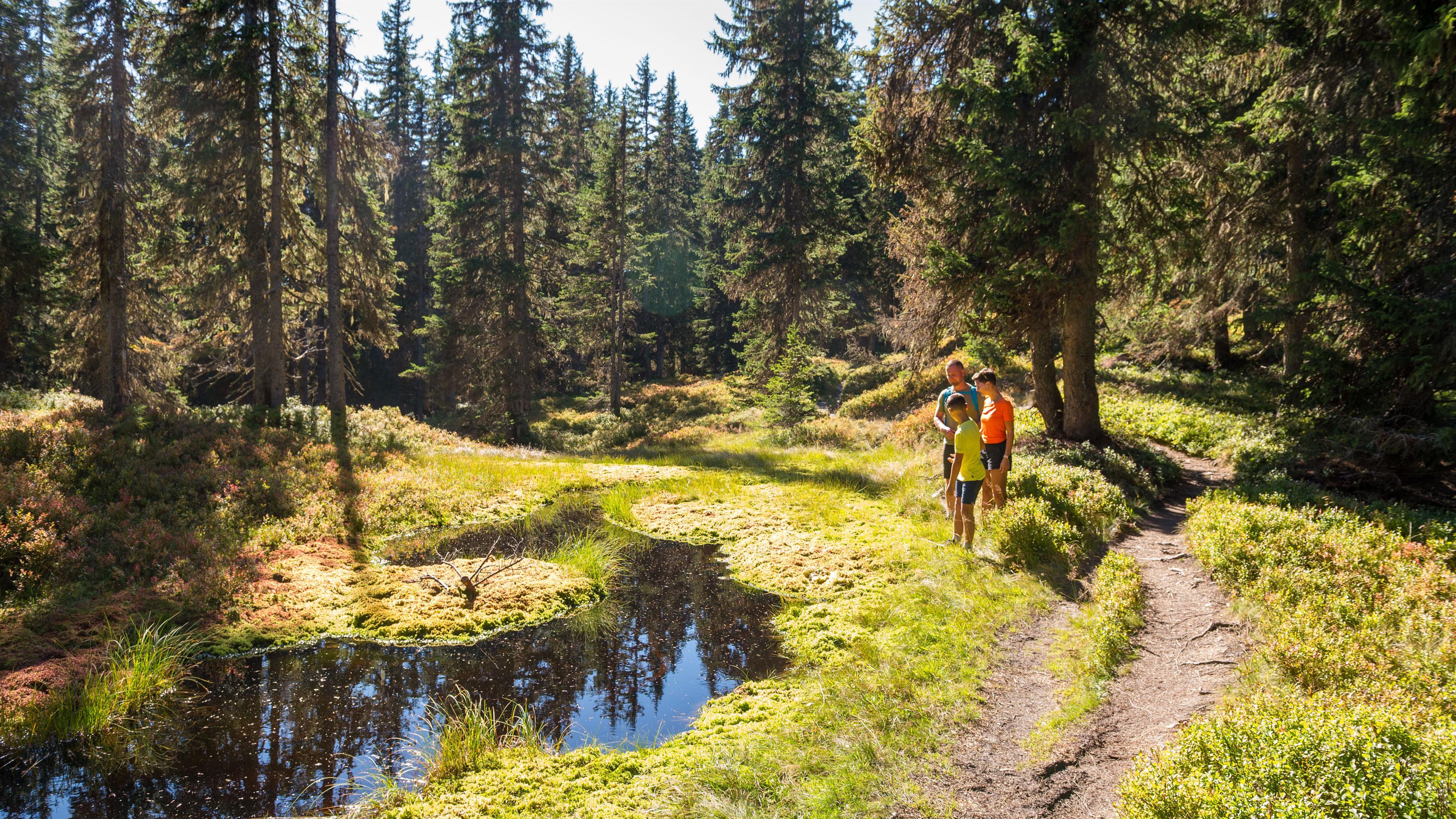Geführte Gruppenwanderung