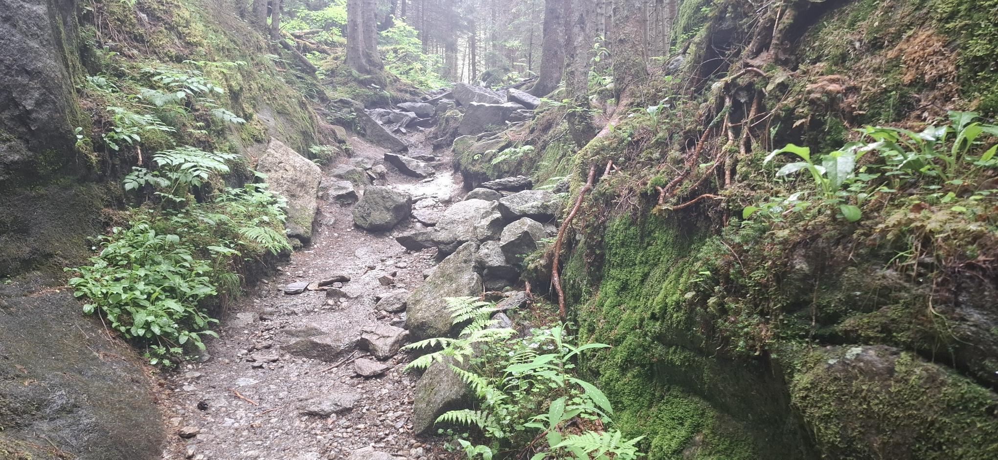 Geführte Wanderung zum Krimmler Wasserfall