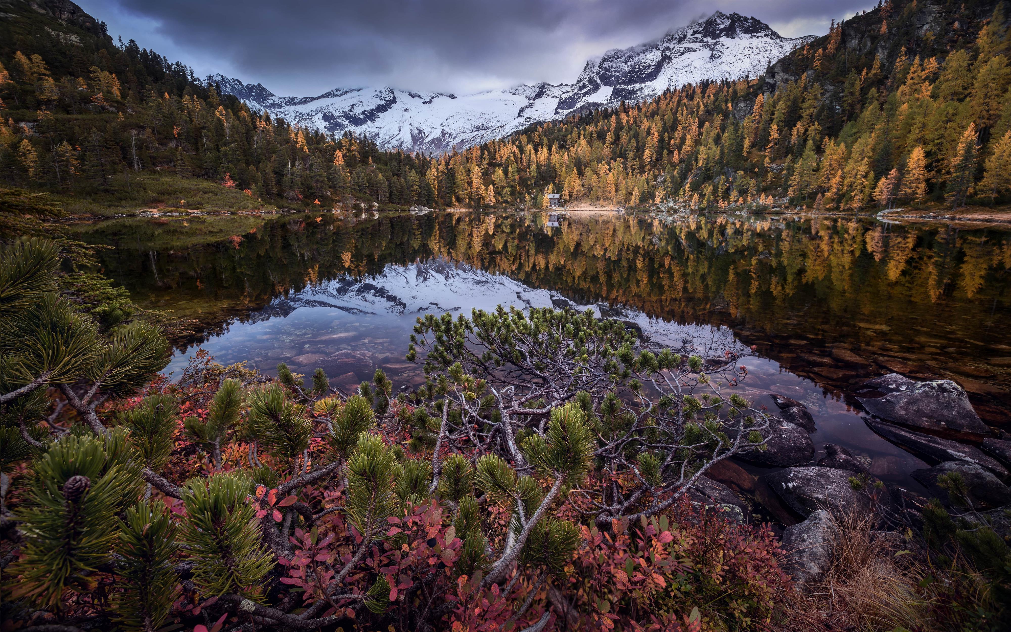 Geführte Herbstwanderung: Naturjuwel Reedsee
