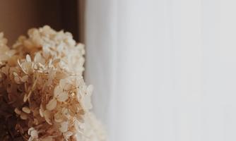 A decorative bouquet of dried flowers stands next to a window. The background is light with a sheer curtain.