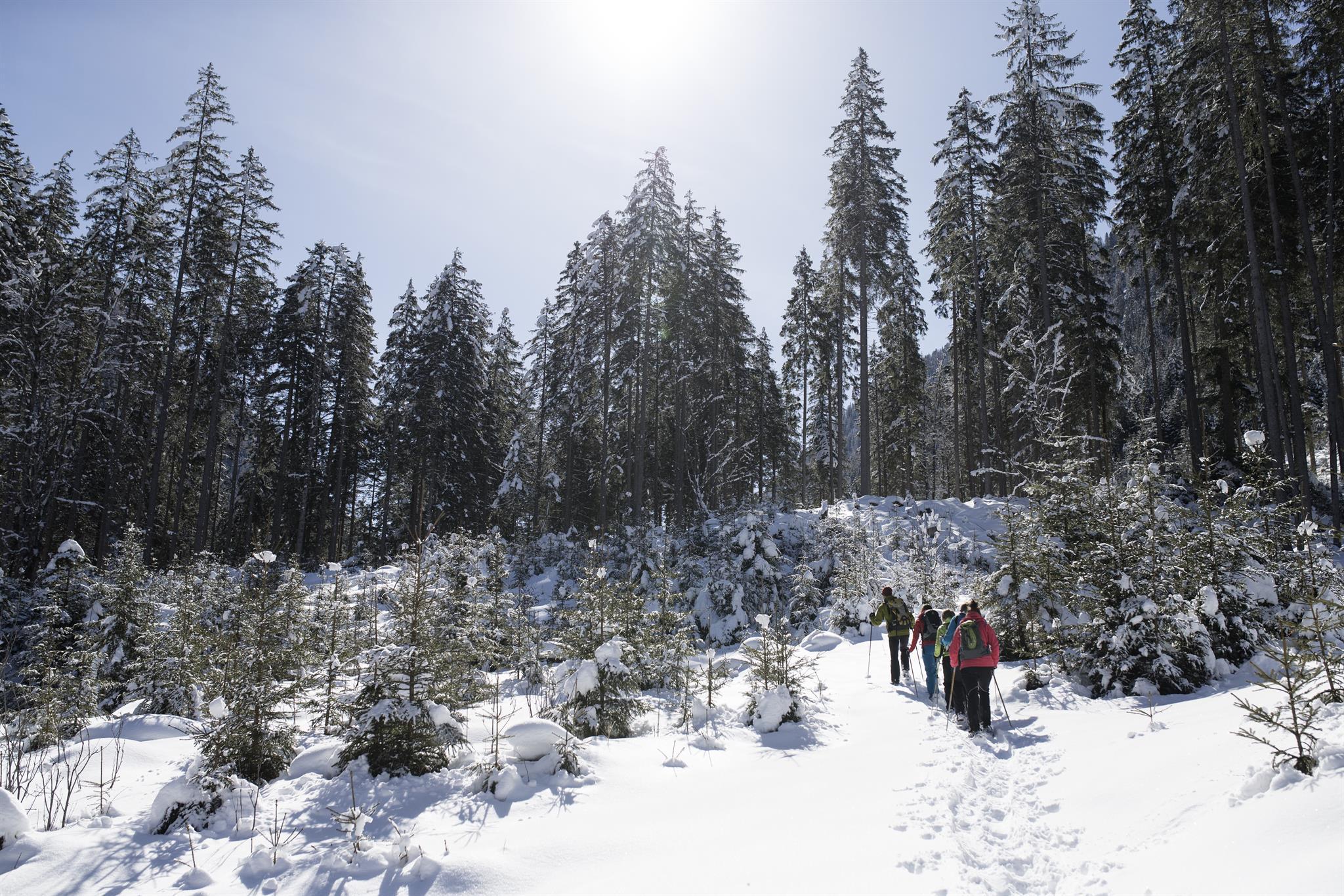 Schneeschuhwanderung in eines der Sulzbachtäler