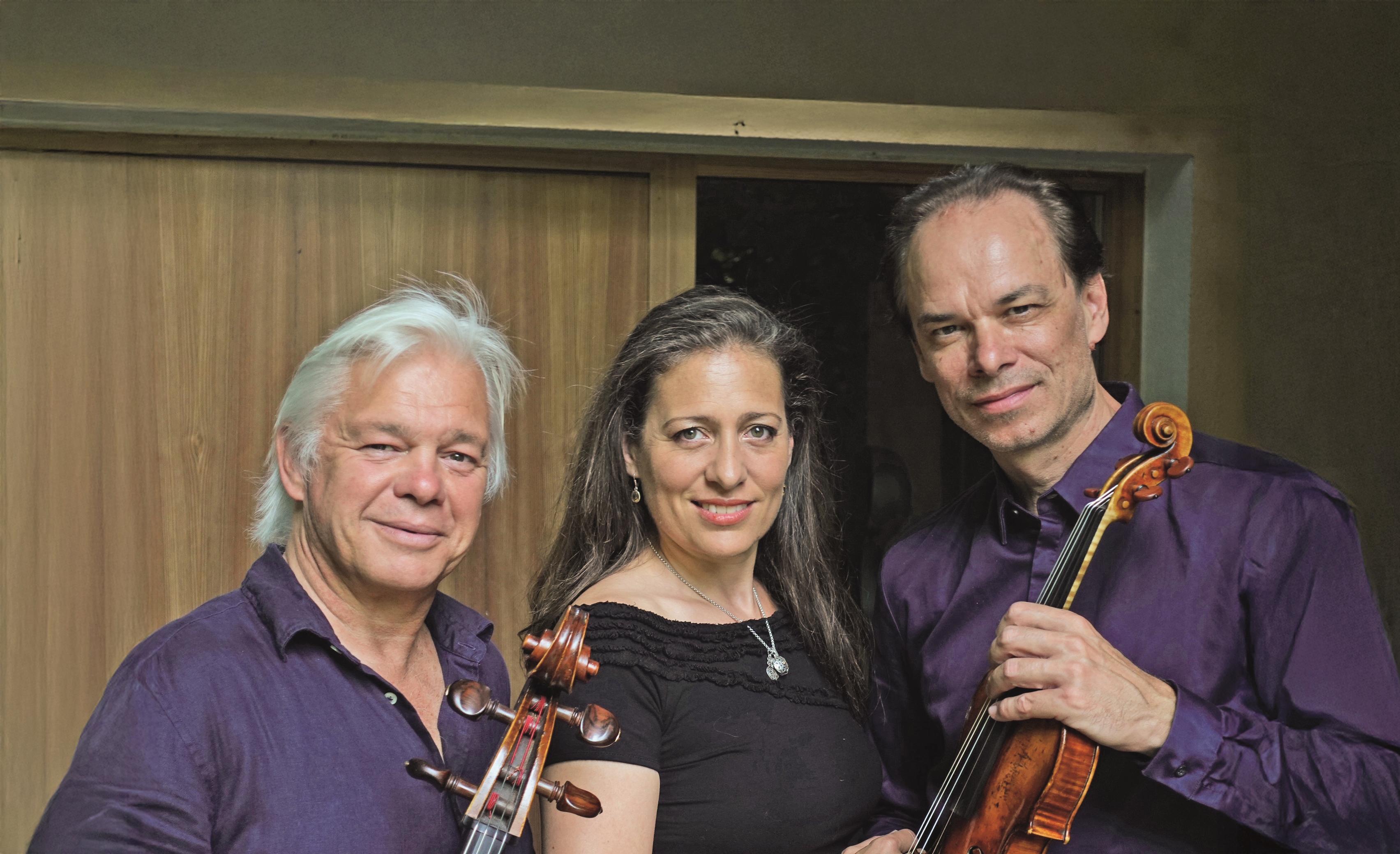 Mattseer Diabelli Sommer „Das Besondere Trio“