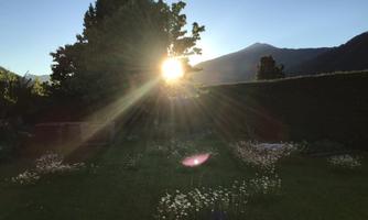 A picturesque garden with colorful flowers and a spectacular view of the mountains. The sun is low and creates a beautiful glow.