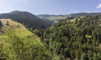 A wide landscape with gentle hills and dense forests. The sky is clear and sunny.