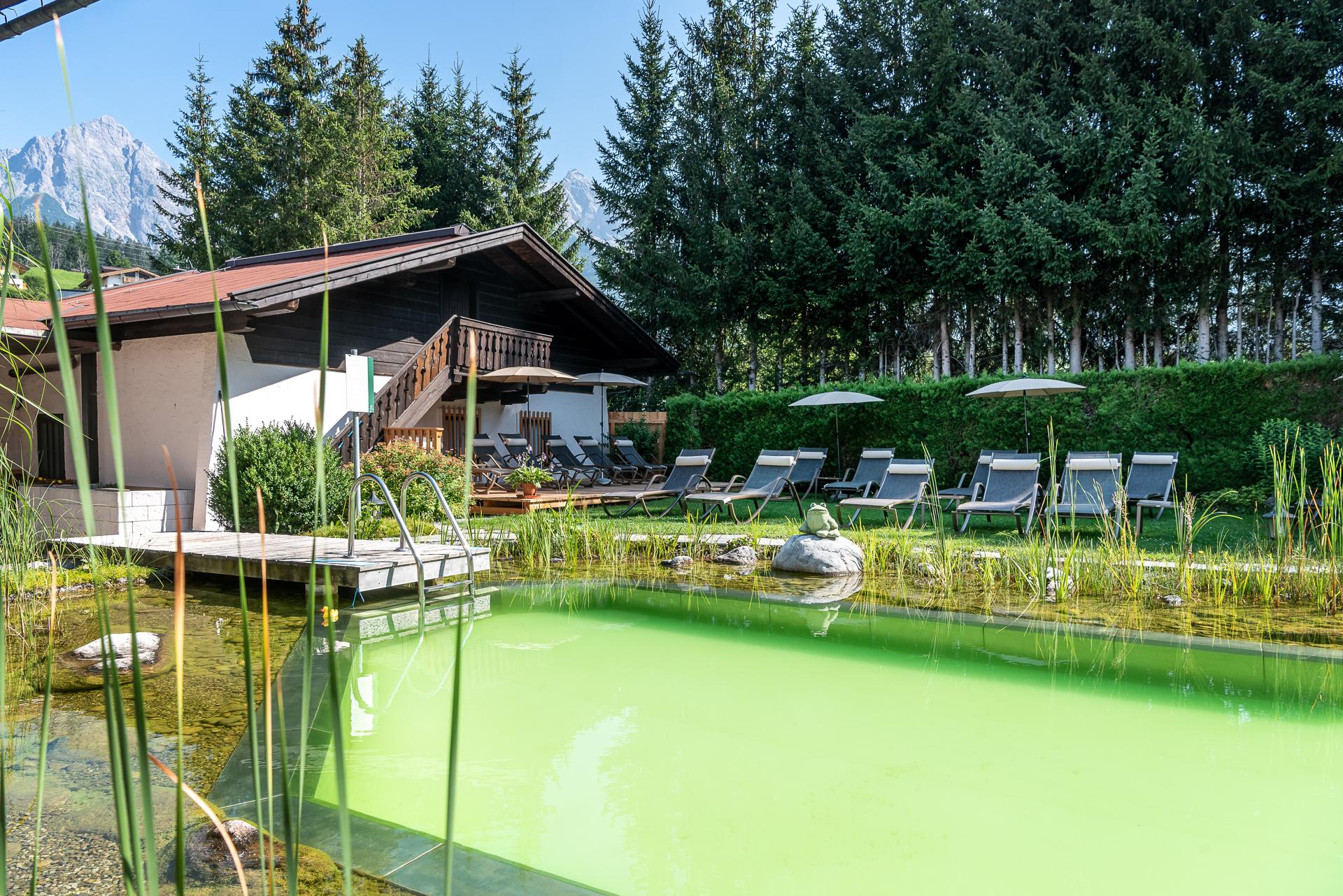 A quiet garden with a biological pool and loungers for relaxation. In the background, there is a wooden house surrounded by tall trees.