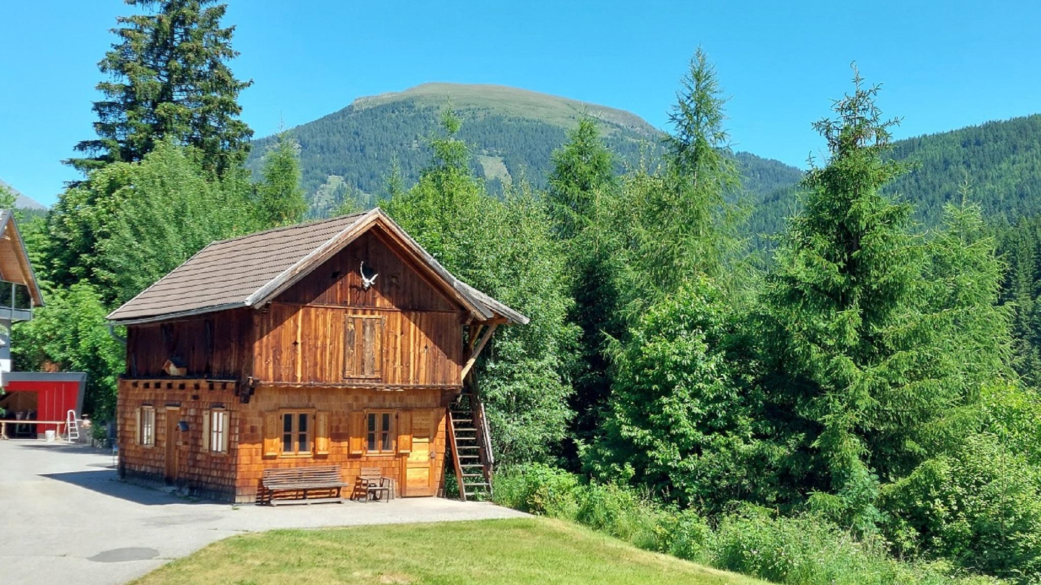 A charming wooden house surrounded by lush greenery and tall trees. In the background, a gentle mountain is visible.