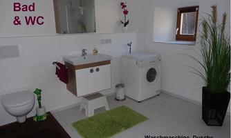 A modern bathroom with a shower, washing machine, and toilet. There is also a small plant and towels on a shelf.
