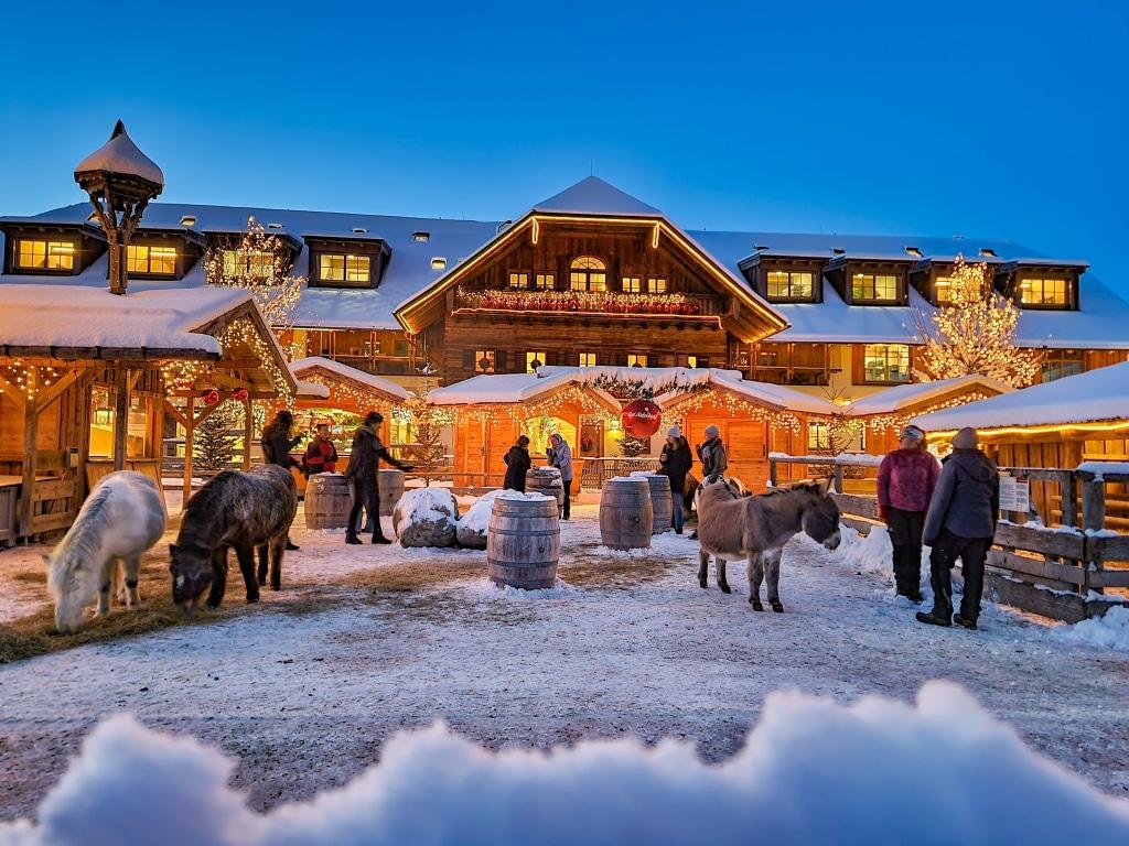 Weihnachtsmarkt auf Gut Aiderbichl