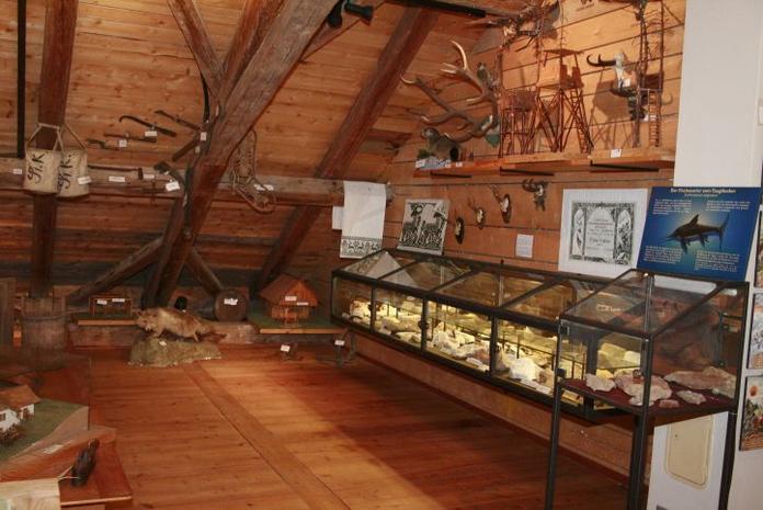 Fossilienausstellung