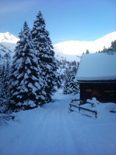 Winterwanderweg Zederhaus