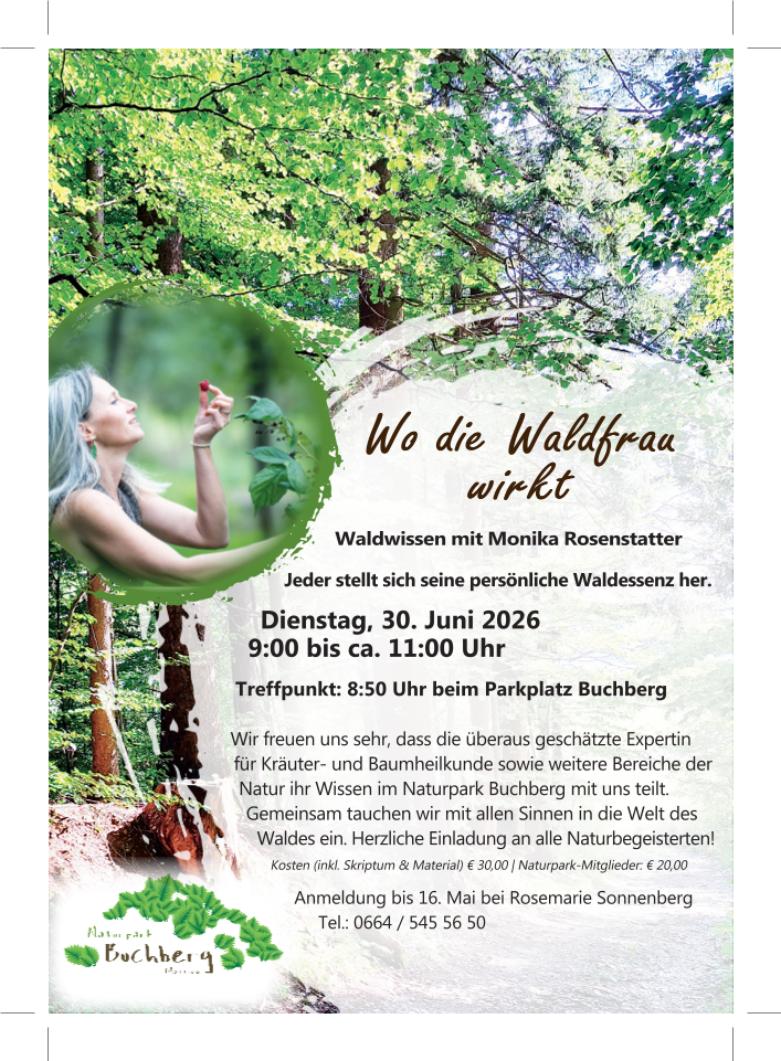 Wo die Waldfrau wirkt – Waldwissen mit Monika Rosenstatter