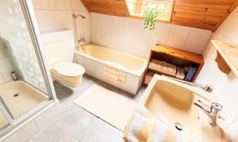 A modern bathroom with a bathtub and a shower. Natural light falls through the skylight and there is a plant for decoration.