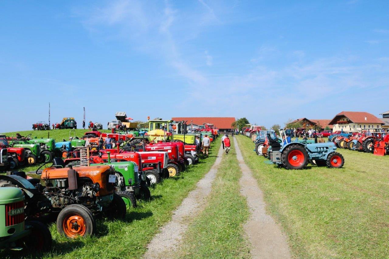 Frühschoppen mit Oldtimer-Traktoren-Treffen