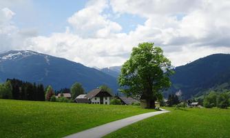 A beautiful landscape with a large tree and a meadow. In the background, there are mountains and a white-blue sky.