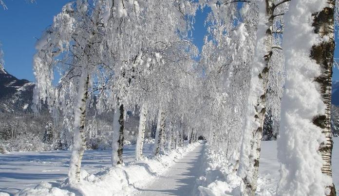 Seeweg-Runde / Winterwanderweg 11