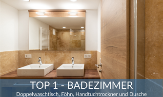 A modern bathroom with a double sink, mirror, and shower. There is also a hairdryer and towels.