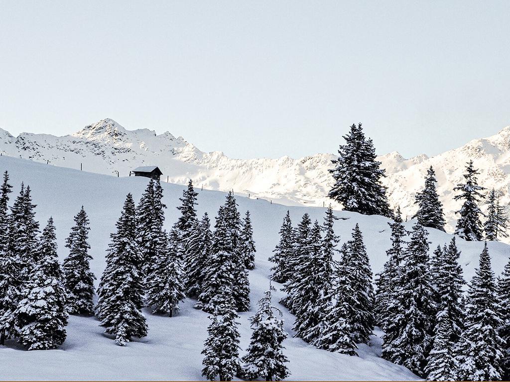 Wintererlebnis Hollersbachtal