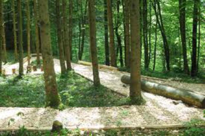 Fitness Parcours - Thalgau