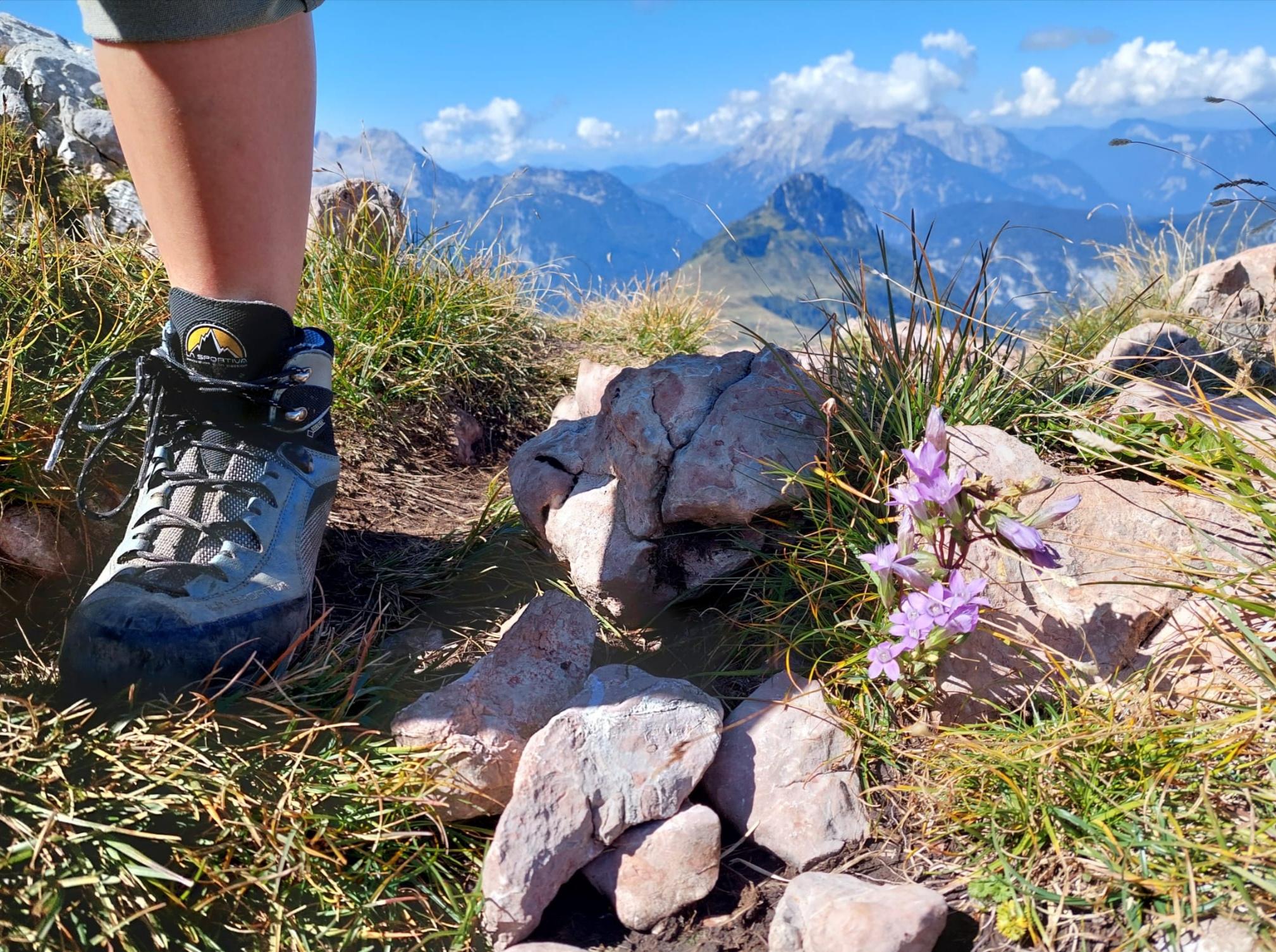 Wandermarathon und Trail Run Grenzgänger