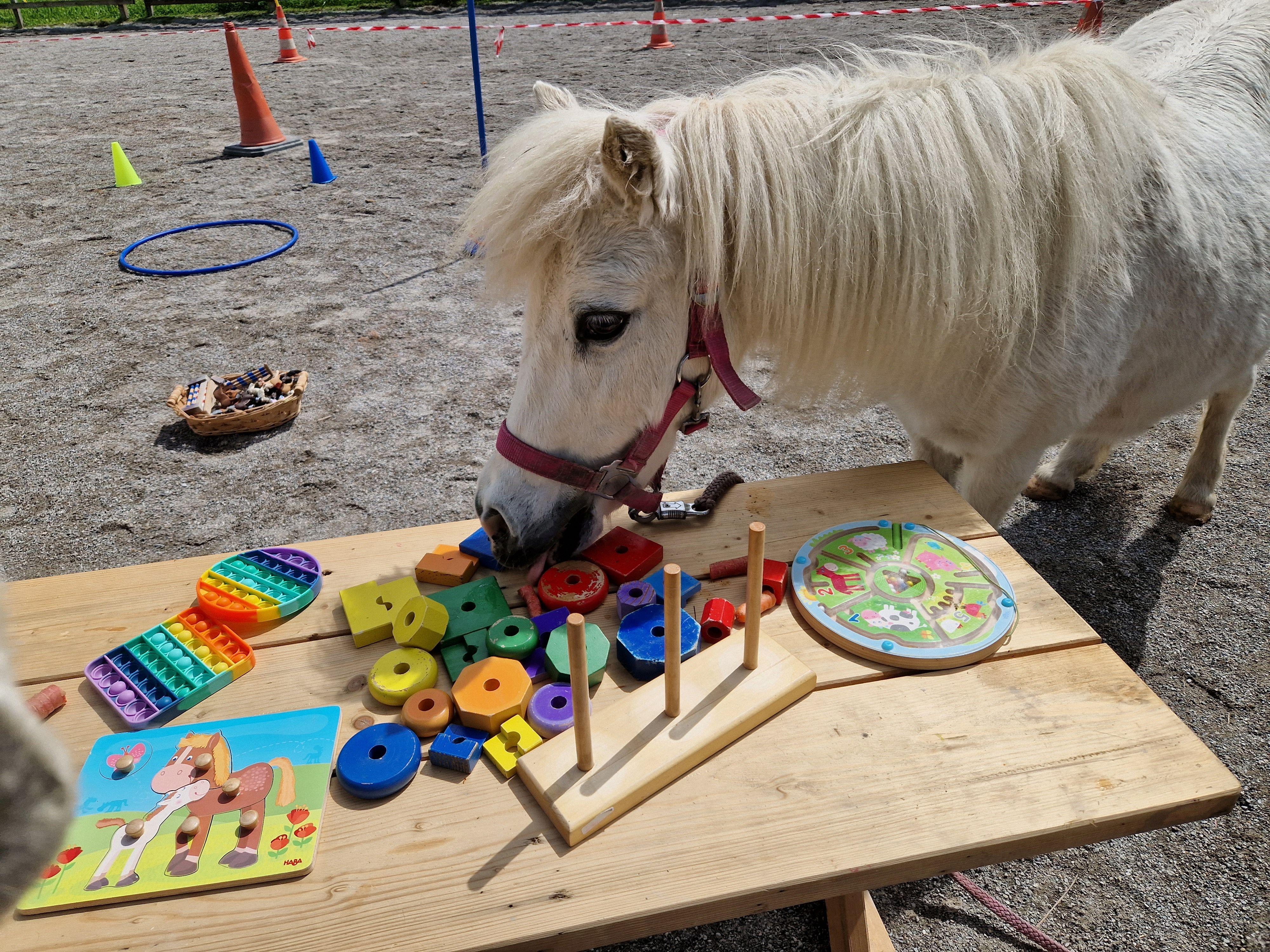 Ponyclub Reit-Spiel-Gruppe