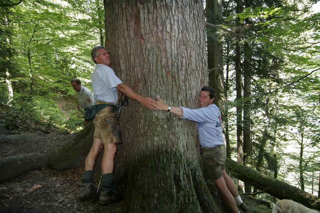 Geführte Wanderung im St. Martiner Wandergebiet