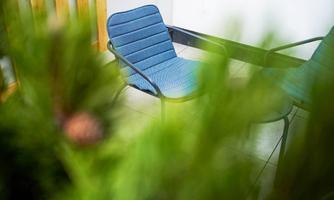 Two comfortable chairs are in a modern room. Green plants are visible in the foreground.
