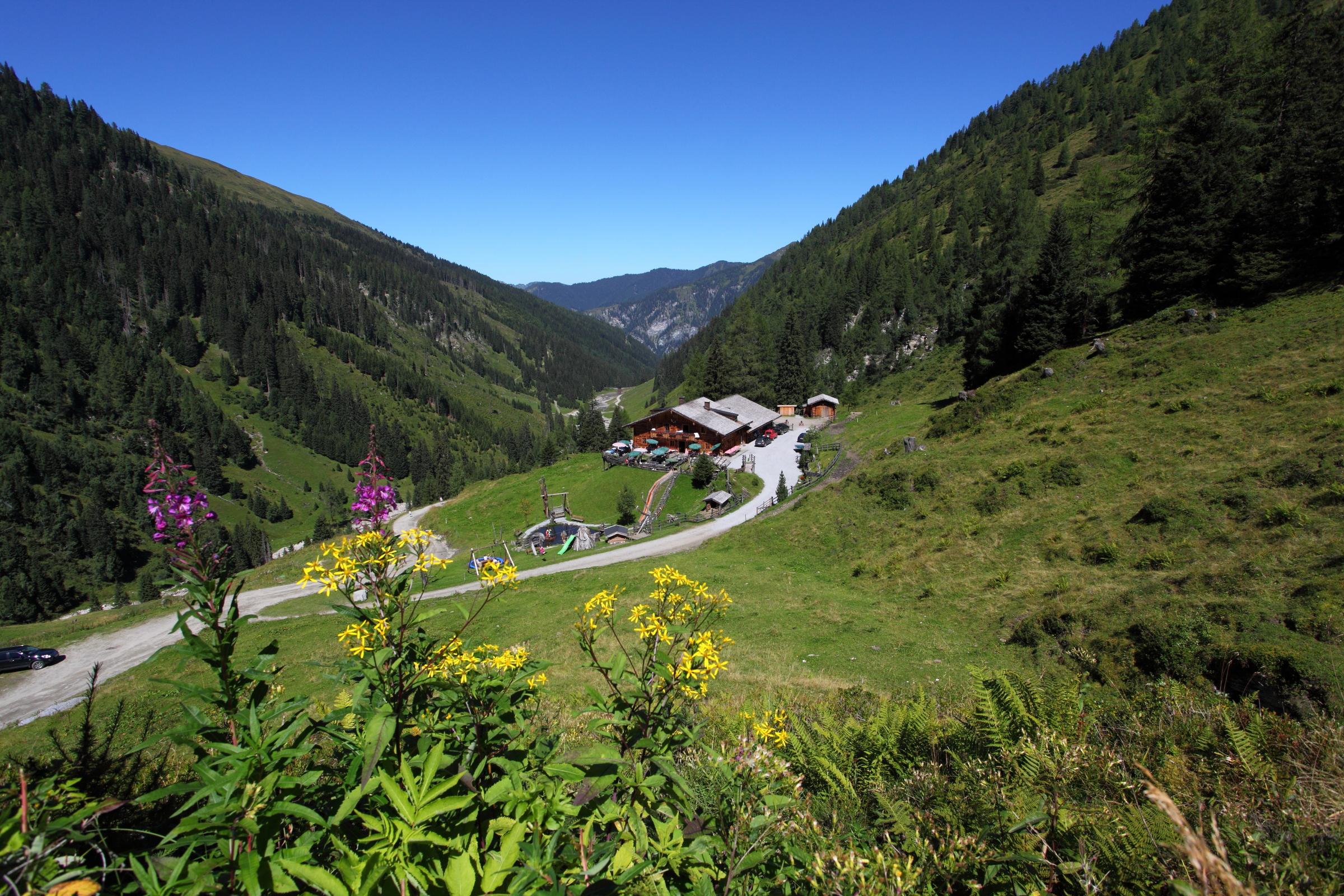 Taxi-Almfahrt zur Reitalm, 1.600 m