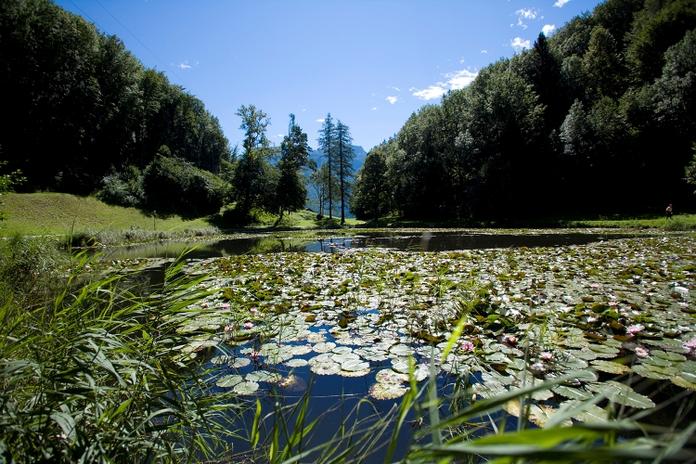 Naturpark Egelsee