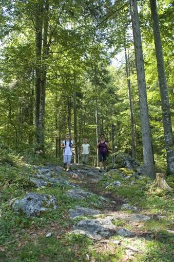 Wandern