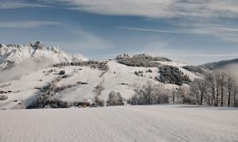 A snowy landscape with mountains and a clear sky. The trees are covered with snow, and the scene exudes tranquility.