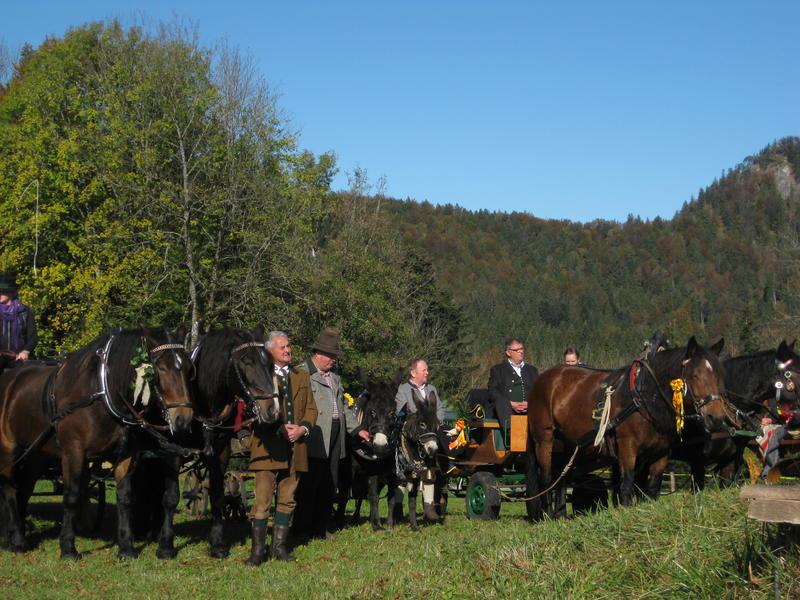 Leonhardireiten in Faistenau