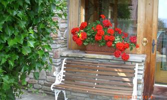 A beautiful entrance area with a wooden bench and colorful red geraniums. The stone wall and the plants create an inviting atmosphere.