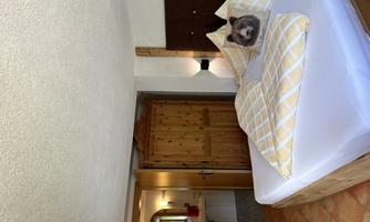 A cozy bedroom with a large bed and yellow pillows. In the background, a bathroom and a wooden door are visible.