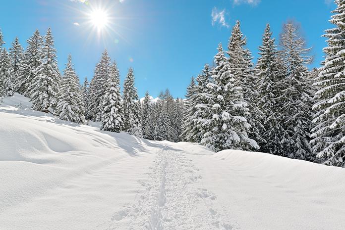 Winterwanderweg Saumoosrunde