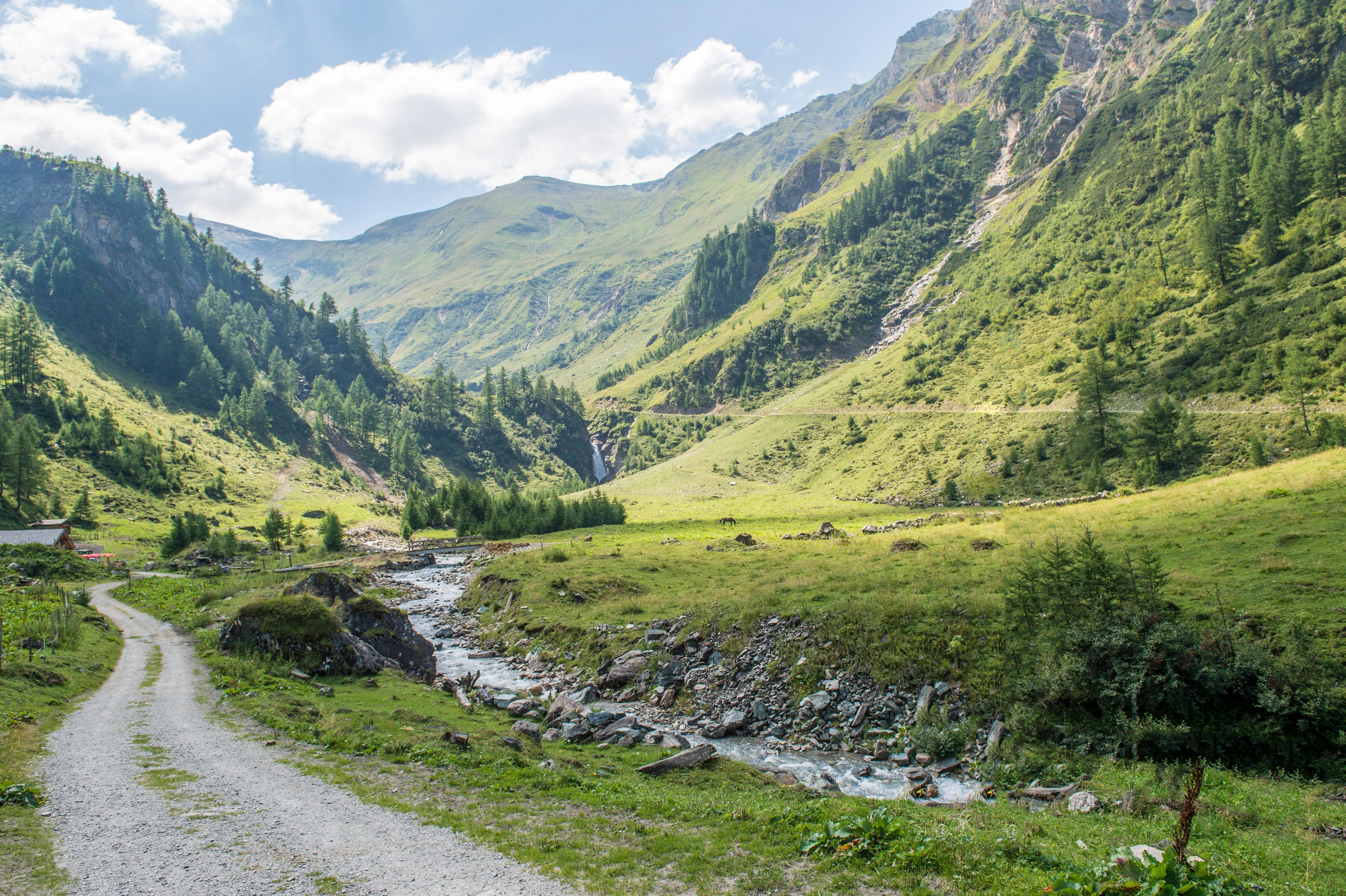 Nationalpark Sondertour – Auf wilden Pfaden
