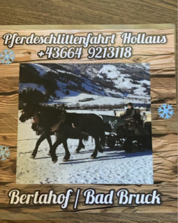Pferdeschlittenfahrten Hollaus