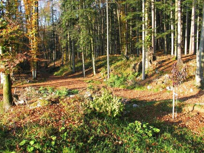 Wanderung am Almerberg