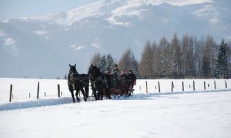 A sled with multiple people is being pulled by two horses through a snowy landscape. In the background, there are snow-covered mountains and coniferous trees.