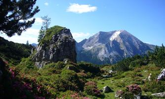 A picturesque mountain landscape with blooming plants and a clear blue sky. Majestic mountains rise in the background.