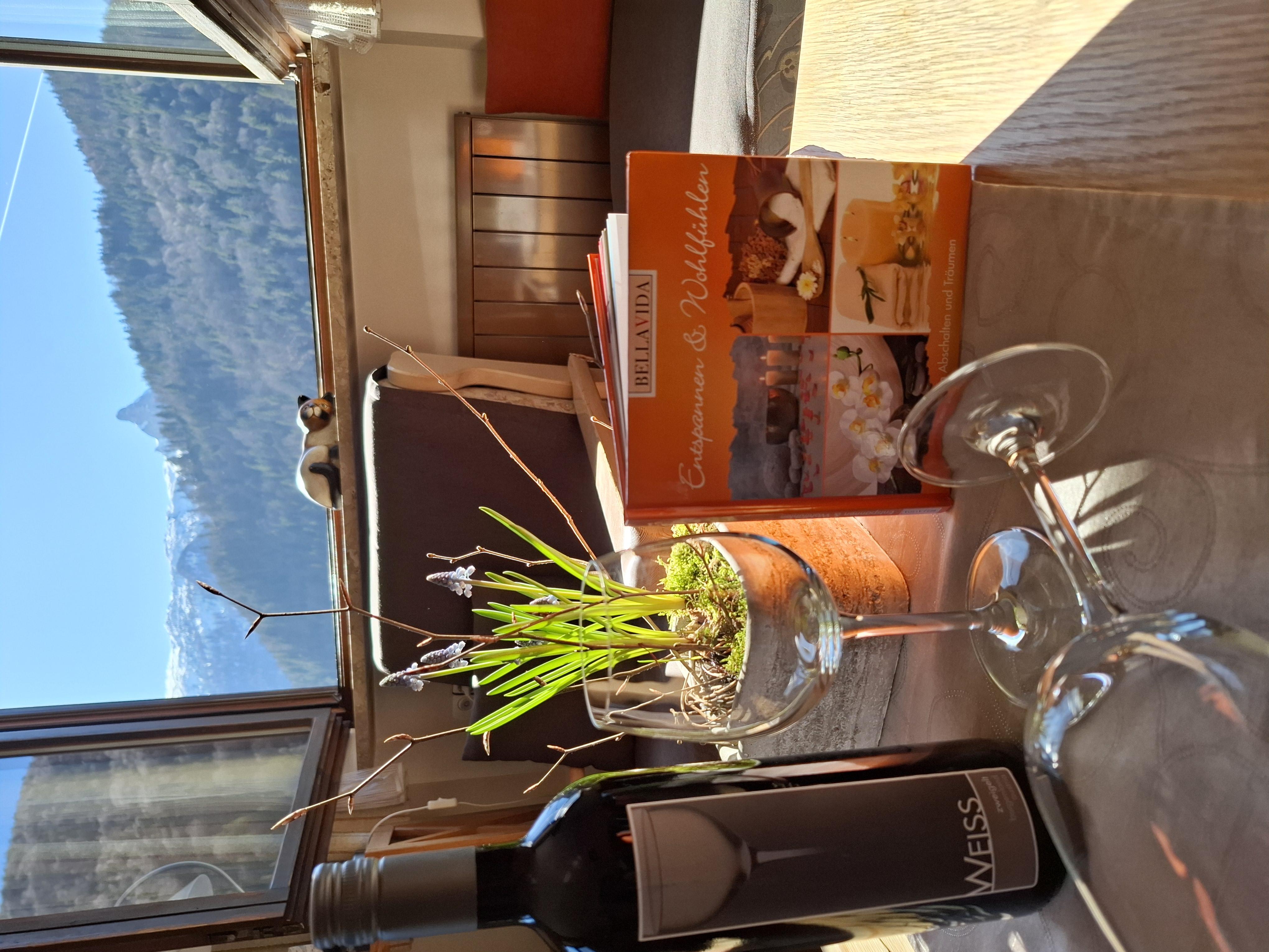 A beautiful table with a red wine, a glass with fresh herbs, and a cookbook. In the background, mountains and a clear blue sky are visible.