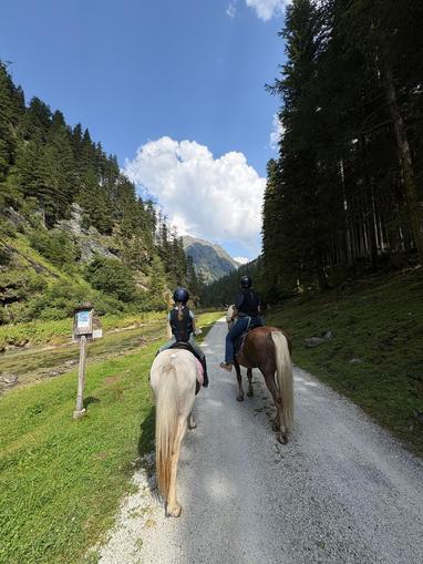 Reiten am Hansalhof in Mariapfarr