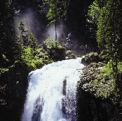 A powerful waterfall flows over rocky steps. Surrounded by lush greenery and trees, the scene exudes refreshing nature.