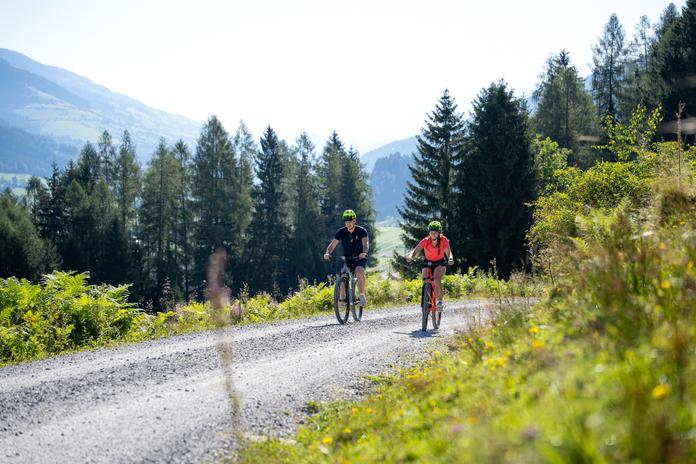 Mountainbiketour Brucker Berg - Seeblickrunde