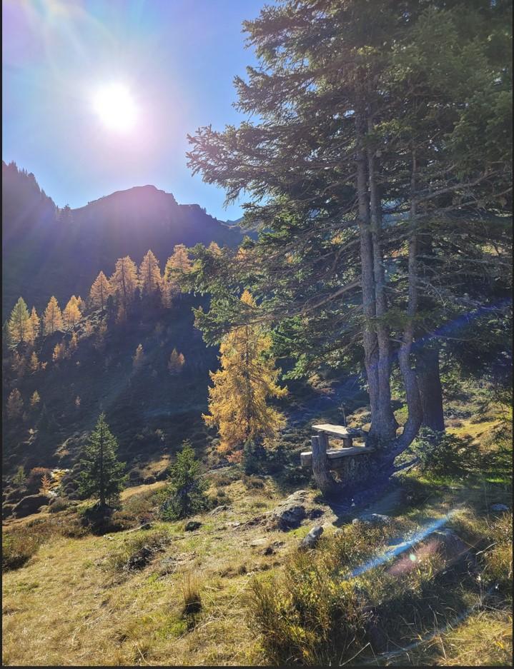 Geführte Wanderung: Leidalm