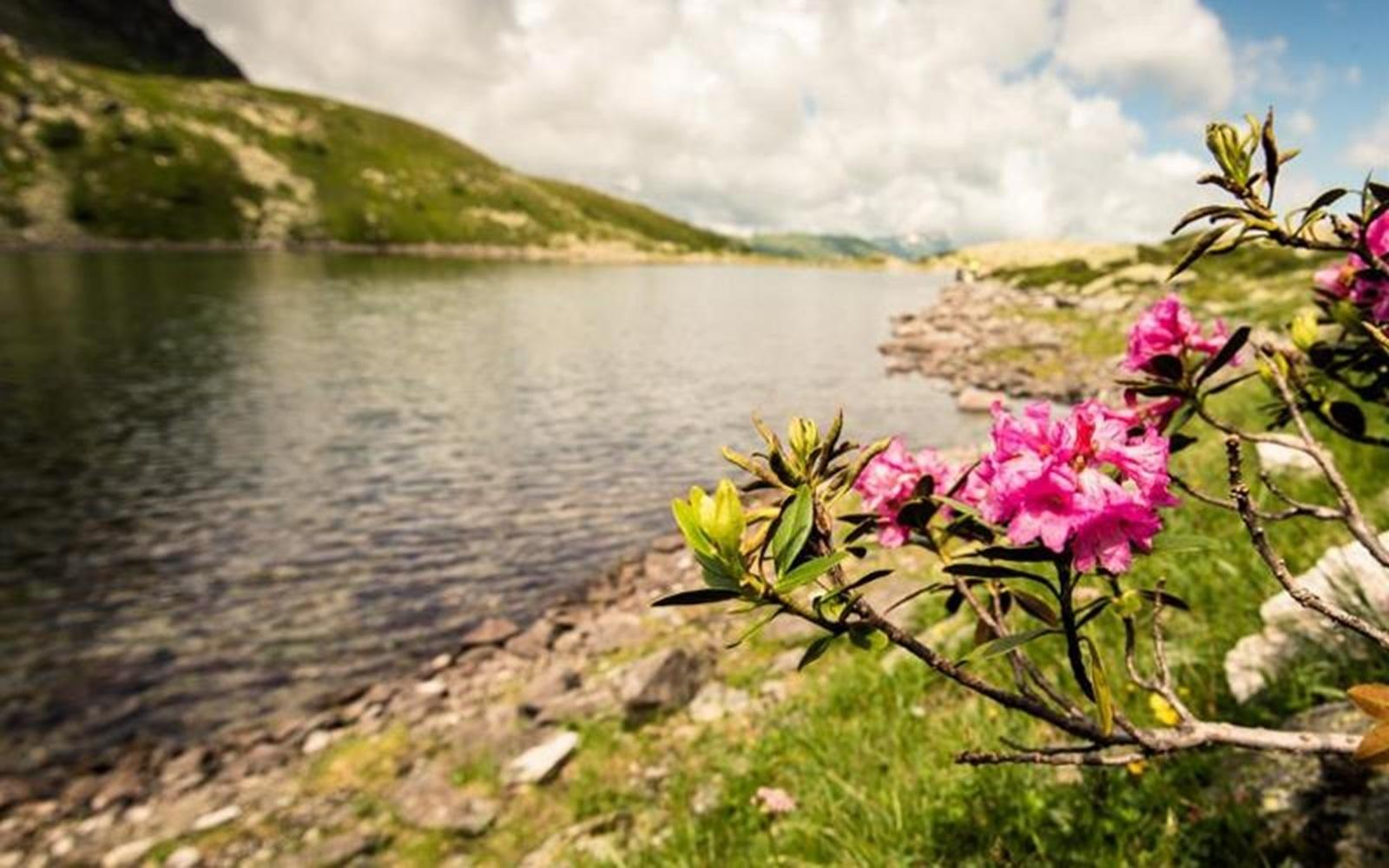 Geführte Wanderung: Palfnersee